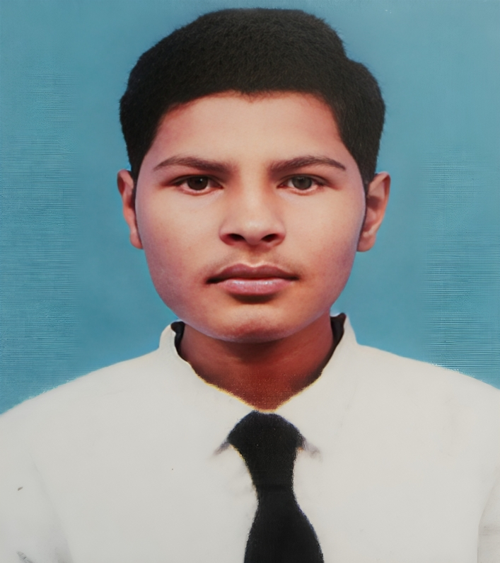 Hamza Amir - Software Developer